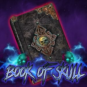 Book of Skull game cover
